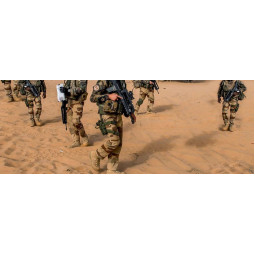 The LOWA Task Force Collection Desert Boots Range