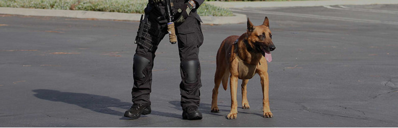 5 Things To Consider When Buying New Police Boots 5 Things To Consider When Buying New Police Boots
