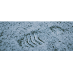 Which Leather LOWA Military Boots Are Best For Winter 2018? Which Leather LOWA Military Boots Are Best For Winter 2018?